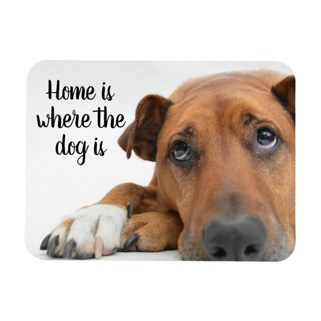 Ímã Casa É Onde O Cachorro Está (Horizontal)
