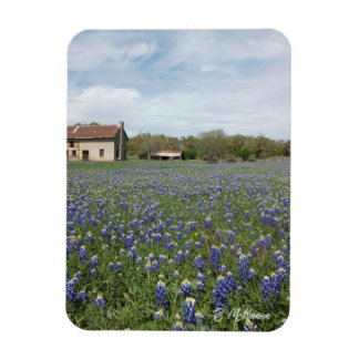 Ímã Casa Famosa do Texas com Bluebonnets