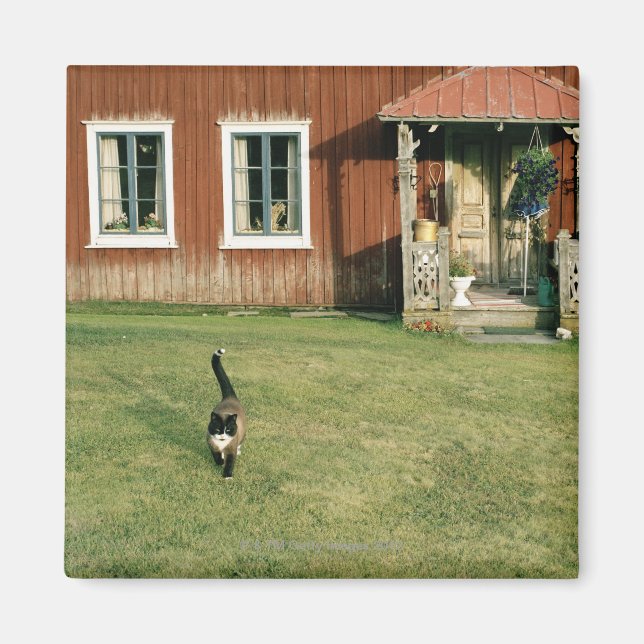 Imã Casa vermelha vestida com um gato no gramado. (Frente)