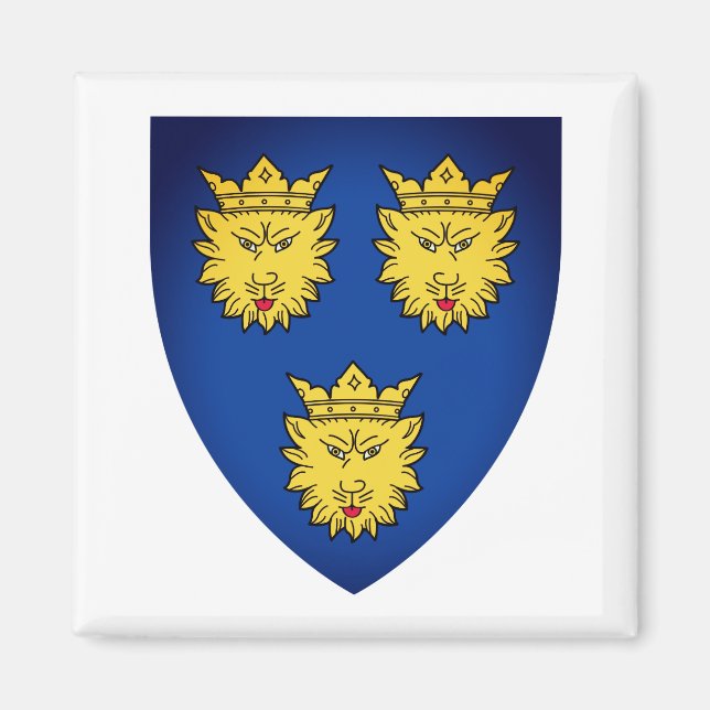 Imã Casaco de Armas da Dalmácia, Croácia, Magnet (Frente)