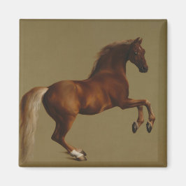 Imã Casaco de assobio do cavalo (por George Stubbs)