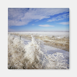 Imã casacos de Hoarfrost torcendo e fenceline próximo