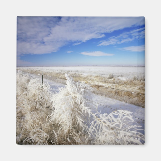 Imã Casacos do Hoarfrost torcendo e entrelaçamento pró (Frente)