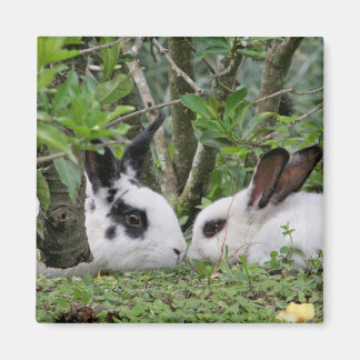 Imã Casal Bunny