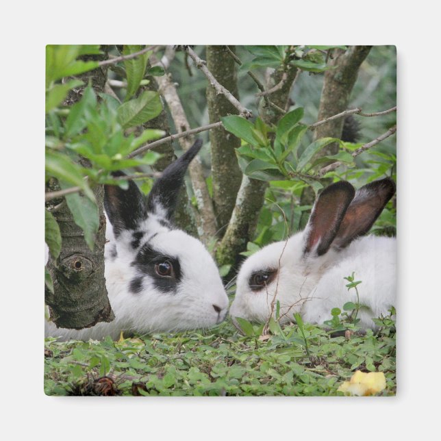 Imã Casal Bunny (Frente)