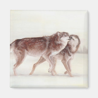 Imã Casal de lobo caminhando