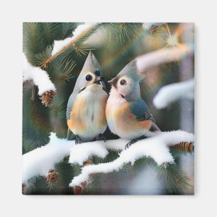 Imã Casal do Titmouse tufado