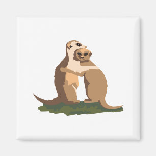 Imã Casal Meerkat