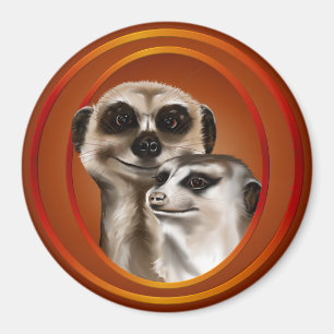Imã Casal Meerkat-Magnets