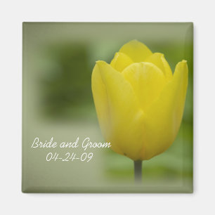 Imã Casamento amarelo do primavera da tulipa