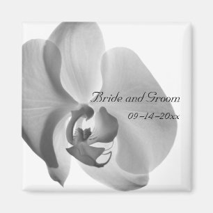 Imã Casamento branco da orquídea