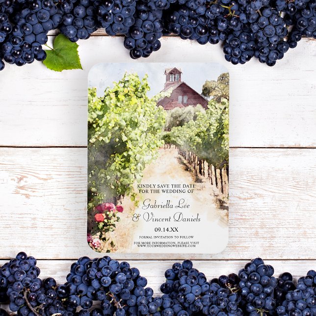 Ímã Casamento de Vineyard Red Barn Watercolor Salvar a (Set the tone for your winery marriage with the rustic Vineyard and Barn Watercolor Save the Date.)
