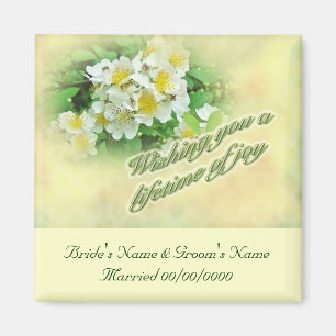 Imã Casamento Deseja Rosas Multiflora