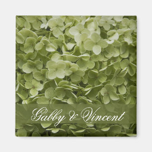 Imã Casamento floral do Hydrangea verde de Annabelle
