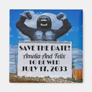 Imã Casamento Offbeat, Casamento Divertido, Casamento 