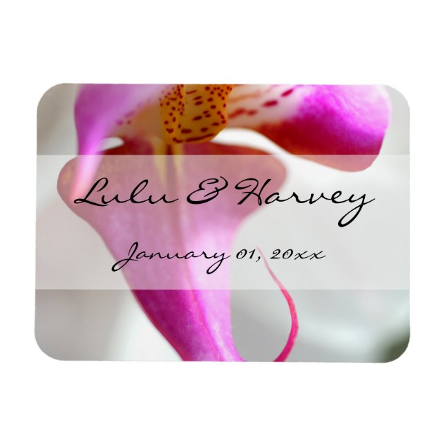 Ímã Casamento Pessoal da Orquídea Branca de dentro (Horizontal)