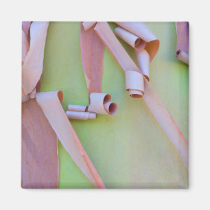 Imã Casca de Árvore Madrone Abstrata