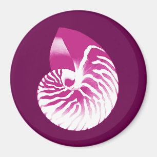 Imã Casca de Nautilus - beringela roxa e branca