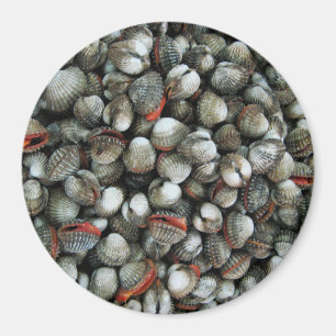 Imã Cascas de Cockle Sanguíneo