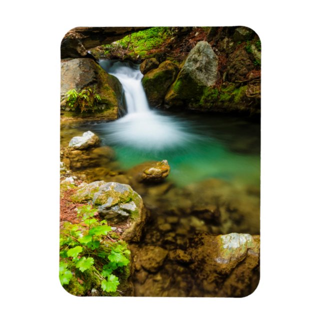 Ímã Cascata em Hare Creek, Califórnia (Vertical)