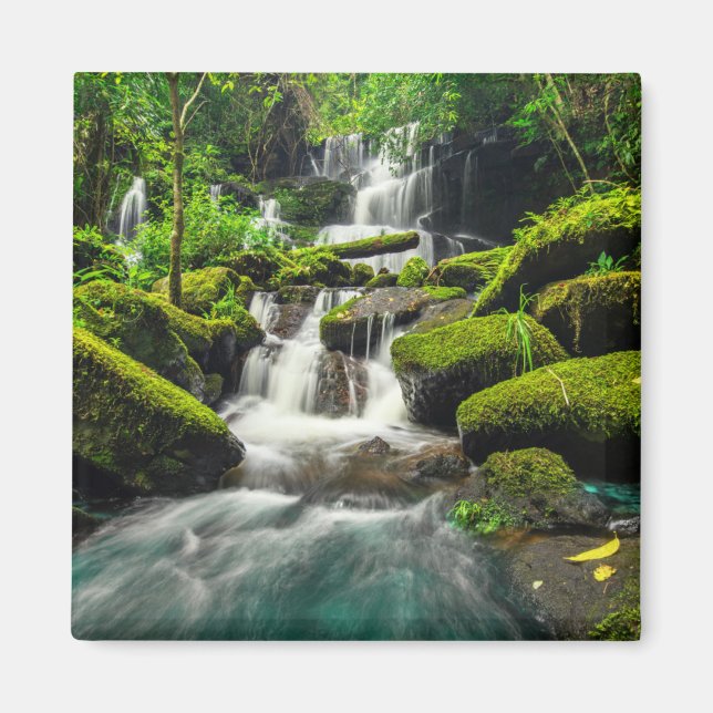 Imã Cascata na selva | Montanha Phu Tub Berk (Frente)