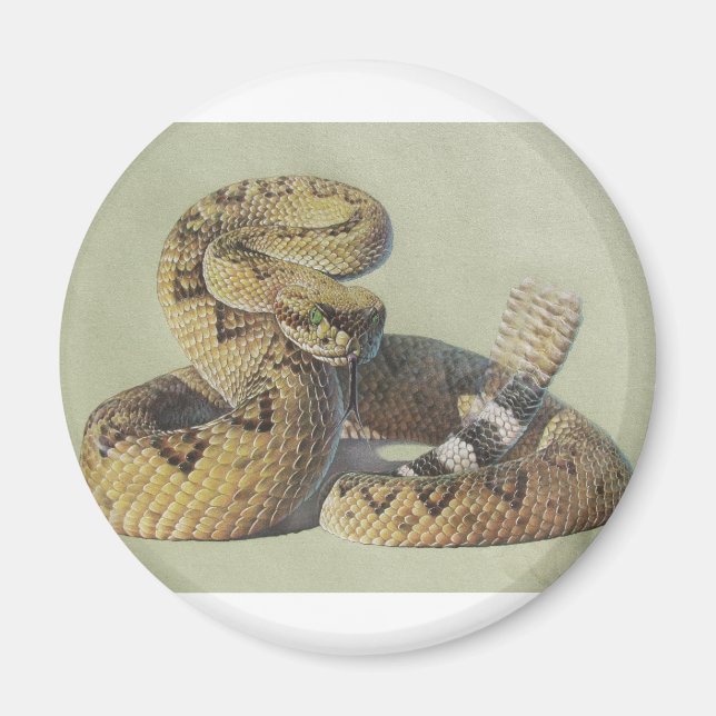 Imã Cascavel (Frente)