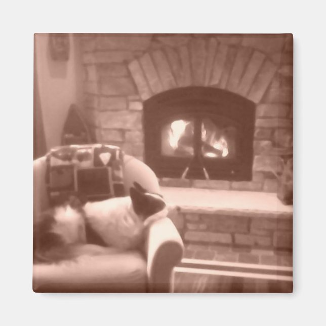 Imã Cassie (Frente)