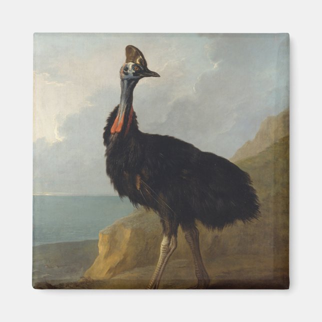 Imã Cassowary (Ave Australiana) (Arte Animal Selvagem) (Frente)