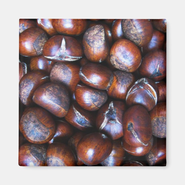 Imã Castanhas (Frente)