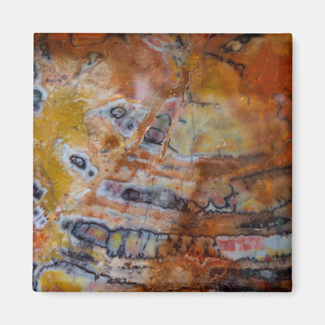 Imã Castanho de Madeira Petrificado (Frente)