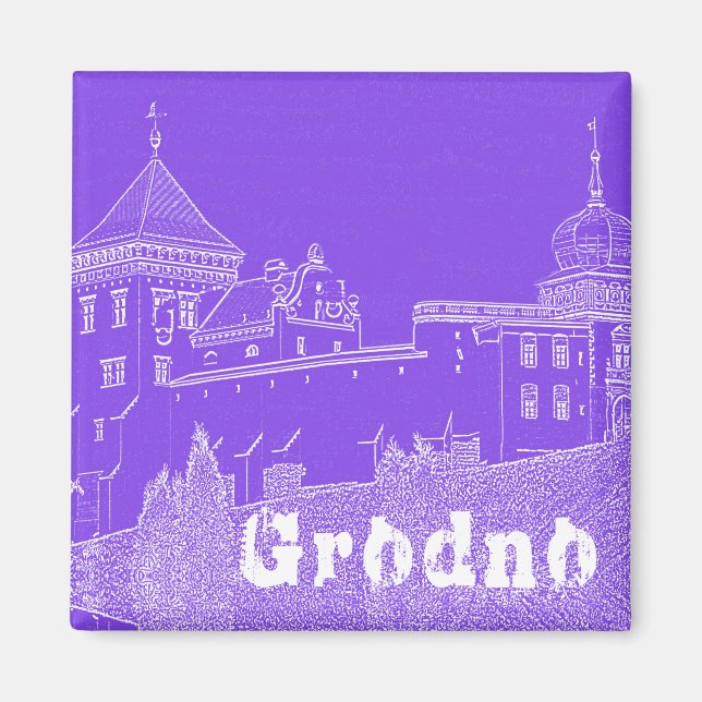 Imã Castelo de Arquitetura da Cidade de Belarus Grodno (Frente)