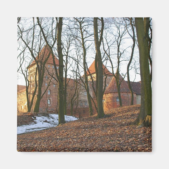 Imã Castelo de Ordem Teutônica Neidenburg - Magnet (Frente)