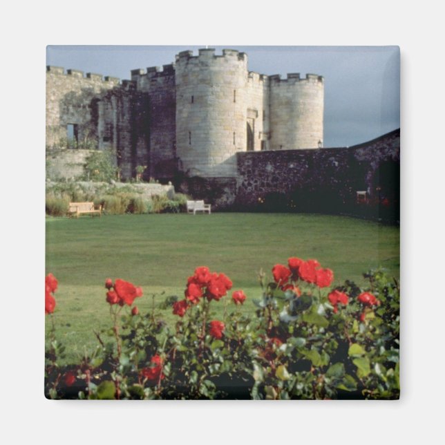 Imã Castelo de Stirling, flores da Escócia (Frente)