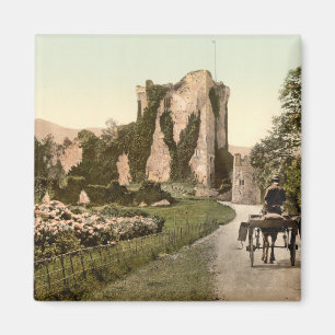 Imã Castelo II de Ross, Killarney, Kerry do condado
