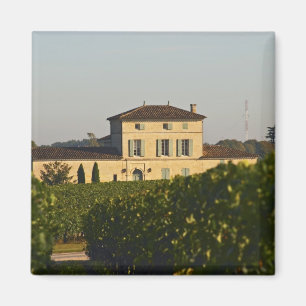 Imã Castelo Lafleur Petrus e vinha, em Pomerol,