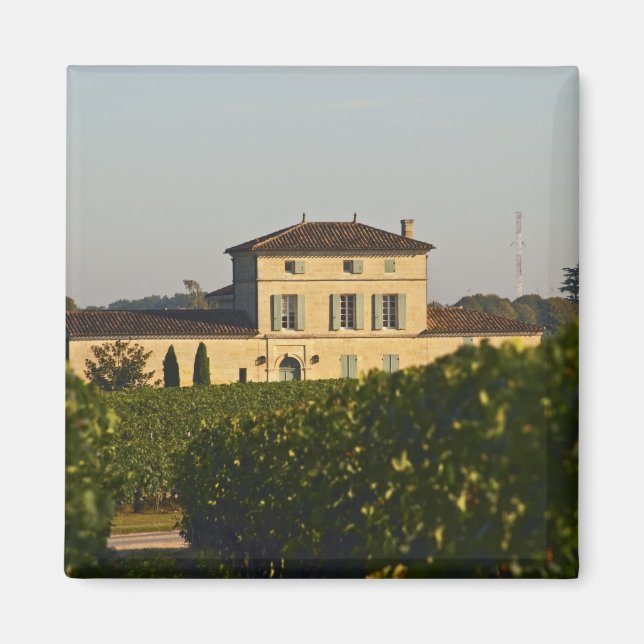Imã Castelo Lafleur Petrus e vinha, em Pomerol, (Frente)