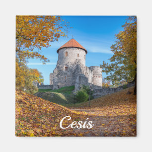 Imã Castelo medieval cercado por floresta