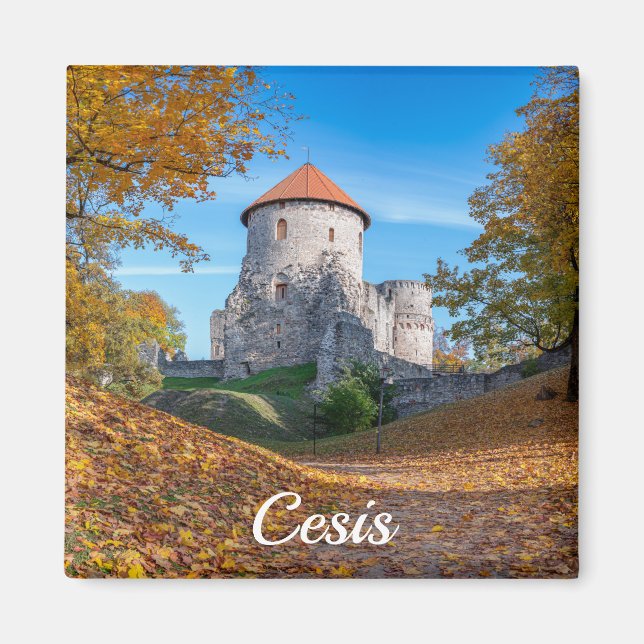 Imã Castelo medieval cercado por floresta (Frente)