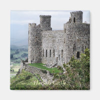 CASTELOS WELSH