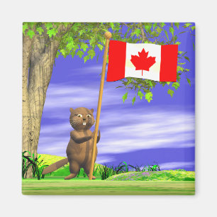 Imã Castor e bandeira canadenses