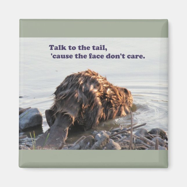 Imã Castor Engraçado (Frente)