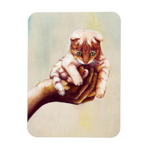 ÍMÃ CAT À DISPOSIÇÃO