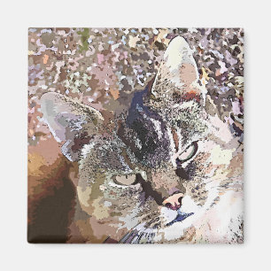 IMÃ CAT DE GATO MALHADO
