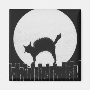 IMÃ CAT DO DIA DAS BRUXAS
