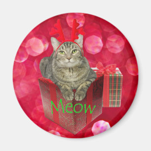 Imã Cat Esperando por Papais noeis