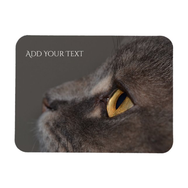 Ímã Cat Eye-Macro por Shirley Taylor (Horizontal)