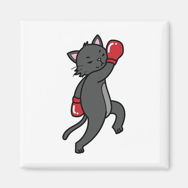 Imã Cat faz boxing (Frente)