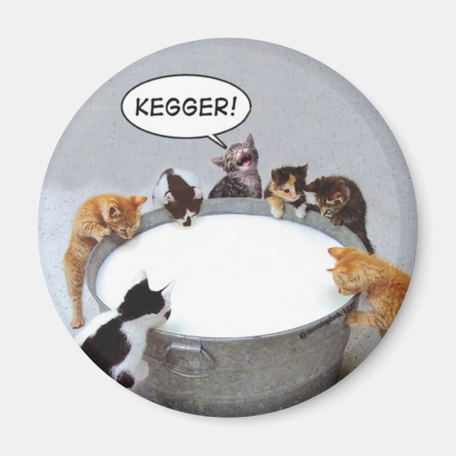 Imã Cat Kegger Magnet (Frente)