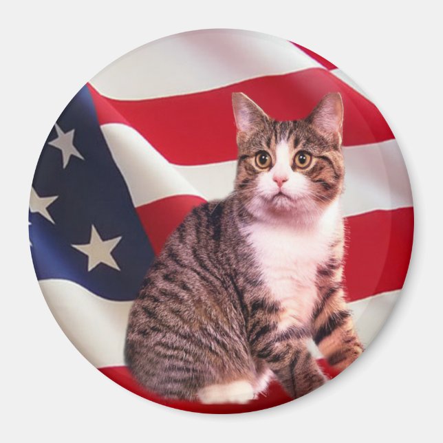 Imã Cat Magnet All American (Frente)