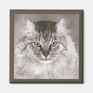Imã Cat Magnet - "Merlin"